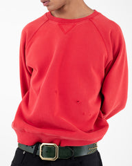 Image Thumbnail #4